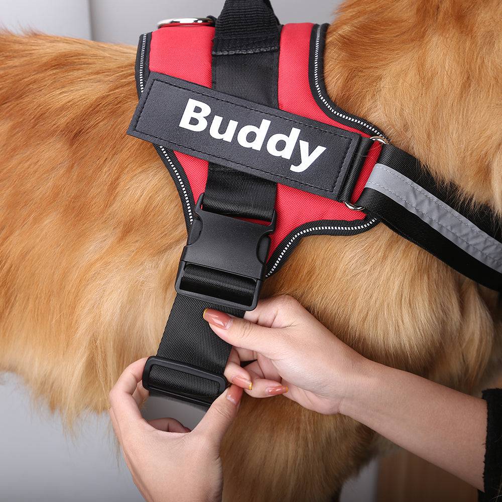 Breathable dog harness best sale